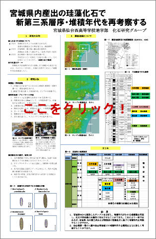 宮城県内産出の珪藻化石で新第三系層序・堆積年代を再考察する